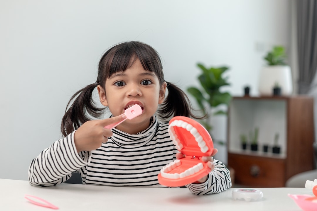 Petite fille joue avec des dents artificielles